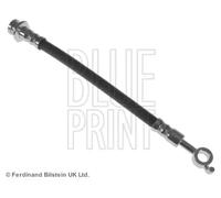 Flexible de frein Essieu arrière gauche ADN153250 BLUE PRINT pour NISSAN CUBE