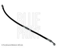 Flexible de frein Essieu arrière gauche ADS75319 BLUE PRINT pour SUBARU LEGACY I