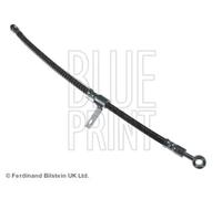 Flexible de frein Essieu avant droit ADG053132 BLUE PRINT pour HYUNDAI MATRIX