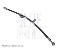 BLUE PRINT ADG053261 Flexible de frein pour KIA