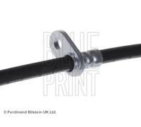 Flexible de frein Essieu avant droit ADH253142 BLUE PRINT pour HONDA