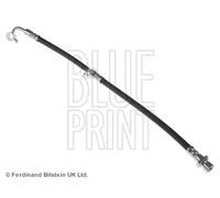 BLUE PRINT Flexible de frein pour HONDA ADH253191