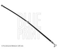 Flexible de frein Essieu avant droit ADN153174 BLUE PRINT pour NISSAN RENAULT