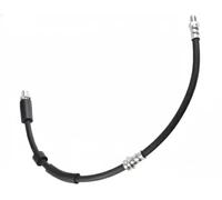 Ferdinand Bilstein Flexible de frein 174961
