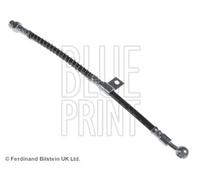 BLUE PRINT ADG05340 Flexible de frein