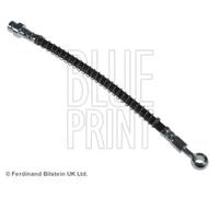 BLUE PRINT Flexible de frein ADG05392 Essieu avant gauche, Essieu avant droit