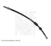 BLUE PRINT ADM55389 Flexible de frein