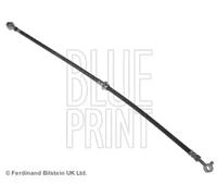Flexible de frein Essieu avant gauche ADN153171 BLUE PRINT pour NISSAN