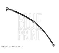 Flexible de frein Essieu avant gauche ADN153196 BLUE PRINT pour NISSAN X-TRAIL I