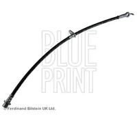 BLUE PRINT ADT353164 Flexible de frein