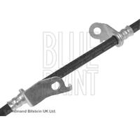 Flexible de frein Essieu avant gauche ADT353337 BLUE PRINT pour TOYOTA RAV 4 III