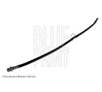 BLUE PRINT Flexible de frein Durite de frein ADT353354 Avant gauche 365 0.12