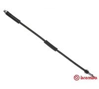 Flexible de frein T 06 035 BREMBO pour BMW 5 5 Touring 6 6 Décapotable