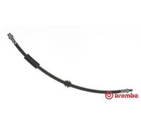 Brembo T06038 - Tubes de frein