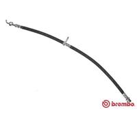 Flexible de frein T 11 013 BREMBO pour CITROËN PEUGEOT TOYOTA