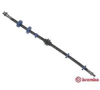 Brembo T23015 - Tubes de frein