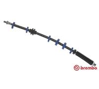 Flexible de frein T 23 112 BREMBO pour FIAT LANCIA