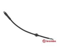 Flexible de frein BREMBO T 23 187
