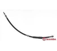 Flexible de frein T 24 093 BREMBO pour FORD MAZDA