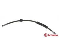 Flexible de frein T 24 127 BREMBO pour SEAT FORD VW