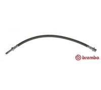Flexible de frein T 50 032 BREMBO pour MERCEDES-BENZ VW