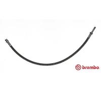 Flexible de frein T 50 056 BREMBO pour MERCEDES-BENZ VW