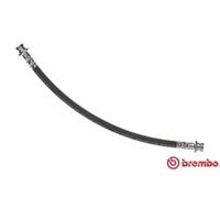 Flexible de frein T 56 141 BREMBO pour NISSAN MICRA III NOTE MICRA C+C III