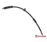 Flexible de frein T 61 031 BREMBO pour FIAT PEUGEOT CITROËN