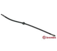 Flexible de frein T 61 036 BREMBO pour CITROËN PEUGEOT