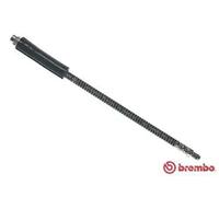 Flexible de frein T 61 041 BREMBO pour PEUGEOT 206 SW 206 A trois volumes 206 CC