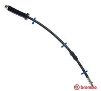 Flexible de frein T 61 066 BREMBO pour FIAT PEUGEOT CITROËN