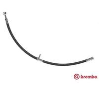 Flexible de frein T 79 043 BREMBO pour SUZUKI GRAND VITARA II