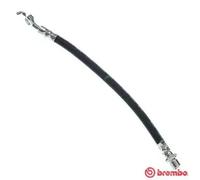 Flexible de frein T 83 097 BREMBO pour TOYOTA AVENSIS Break AVENSIS