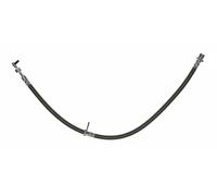 Brembo Flexible de frein T 83 098