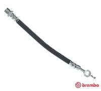 Flexible de frein T 83 117 BREMBO pour TOYOTA COROLLA COROLLA A trois volumes