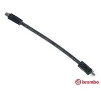 Flexible de frein T 85 034 BREMBO pour AUDI 80 B3 A trois volumes COUPE B3 90 B3
