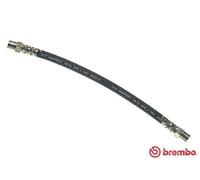 BREMBO T 85 038 Flexible de frein