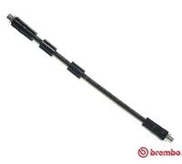 Flexible de frein T 85 041 BREMBO pour AUDI VW