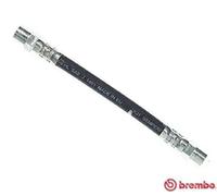 Flexible de frein T 85 061 BREMBO pour AUDI 80 B2 A trois volumes COUPE B2 90 B3