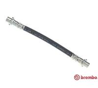 Flexible de frein T 85 063 BREMBO pour AUDI 80 B4 A trois volumes A4 B5 COUPE B3