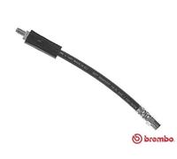 BREMBO T 85 066 Flexible de frein