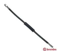 Flexible de frein T 85 101 BREMBO pour VW TRANSPORTER T3 Autobus/Autocar