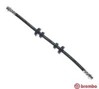 Flexible de frein T 85 103 BREMBO pour VW TRANSPORTER T4 Autobus/Autocar