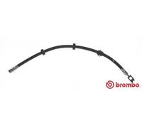 Flexible de frein T 85 107 BREMBO pour VW VENTO GOLF III Variant GOLF III