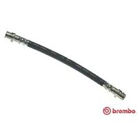 BREMBO Flexible de frein Durite de frein T 85 110 pour AUDI A2 (8Z0) 216