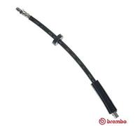 BREMBO Flexible de frein T 85 120