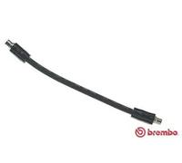BREMBO Flexible de frein pour AUDI VW T 85 134