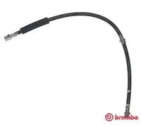 BREMBO Flexible de frein pour AUDI T 85 142