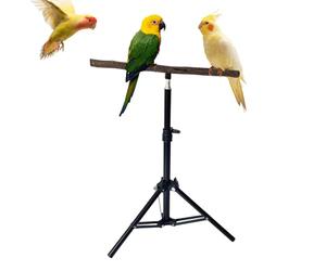 Flexible Habitat Setup : This birdstand provides a flexible habitat setup with a stable support design, ensuring adaptability for birds of the combination of perch and tripod enhances usabi