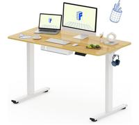 FlexiSpot Bureau Assis-Debout 120x60cm, Bureau Électrique Réglable, Bureau avec Crochet, Charge Max 70kg (Plateau Érable)